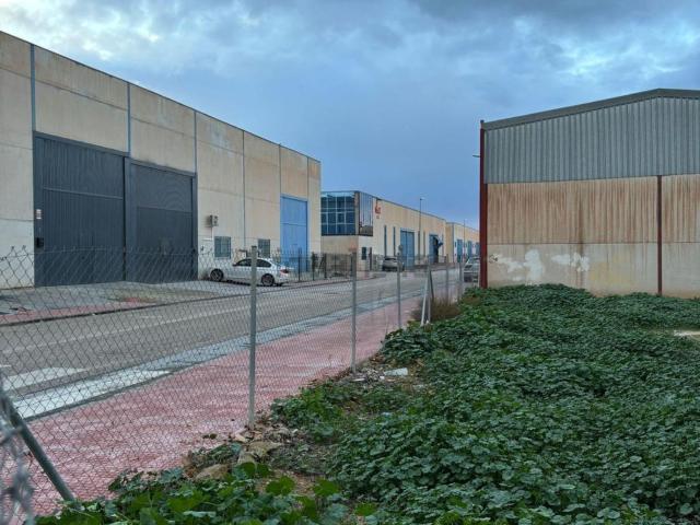 Terreno, Cijuela