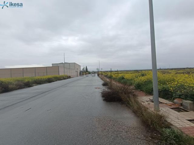 Terreno, Cijuela