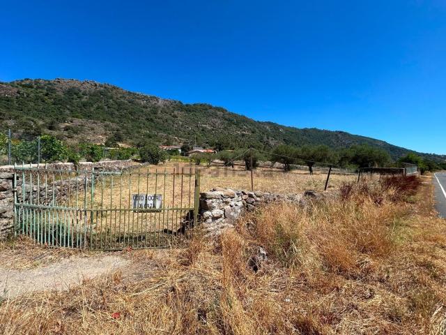 Terreno, Cilleros