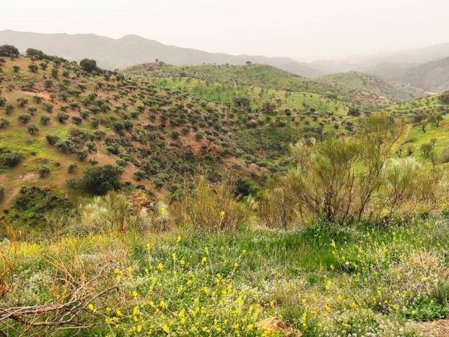 Terreno, Ciudad Jardín, Málaga