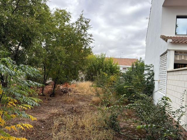 Terreno, Ciudad Real