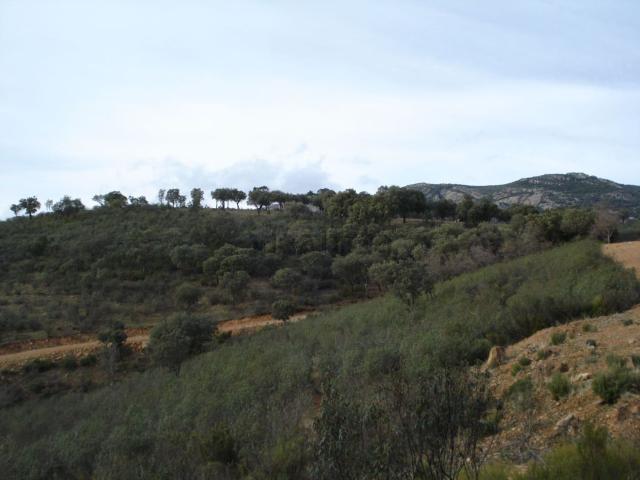 Terreno, Ciudad Real