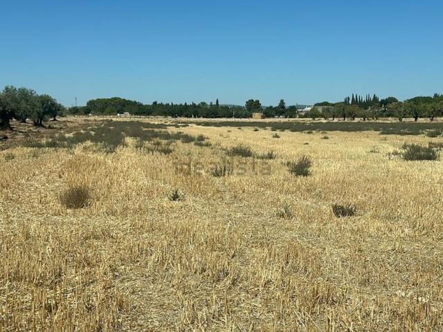 Terreno, Ciudad Real
