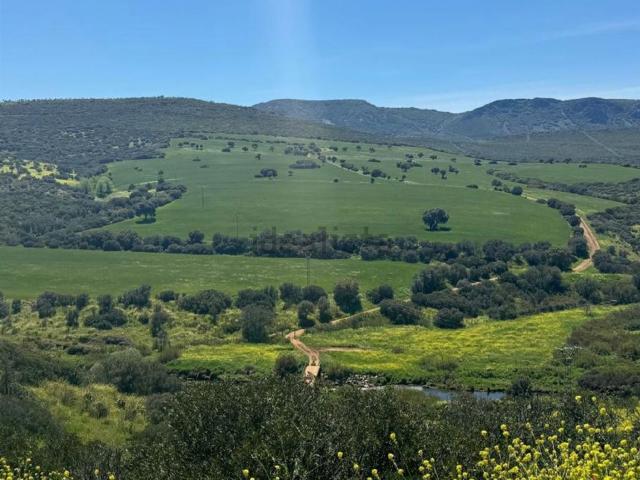 Terreno, Ciudad Real