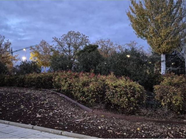 Terreno, Ciudad Real