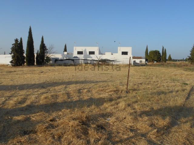 Terreno, Ciudad Real