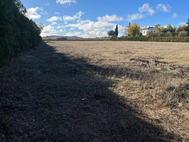 Terreno, Ciudad Real