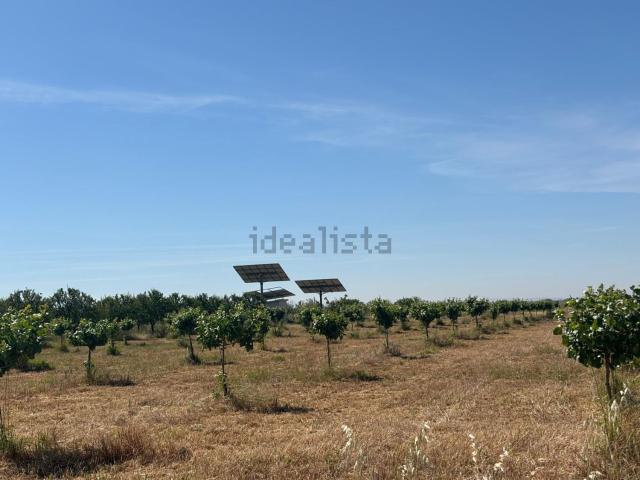Terreno, Ciudad Real