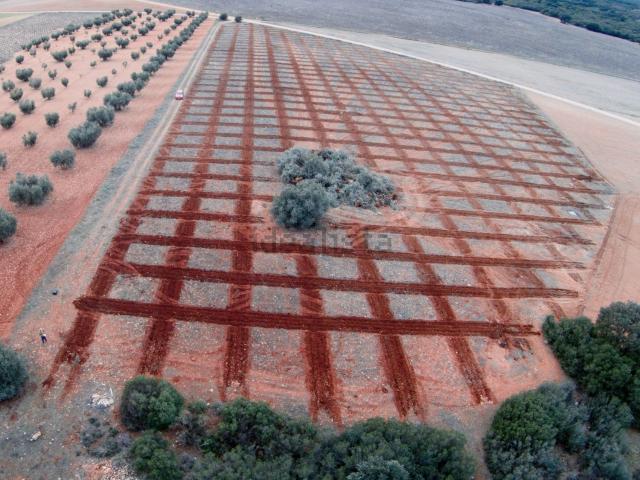 Terreno, Ciudad Real