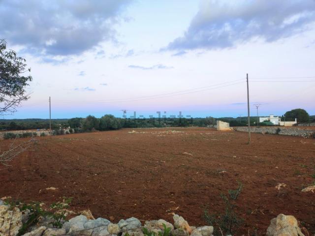 Terreno, Ciutadella de Menorca