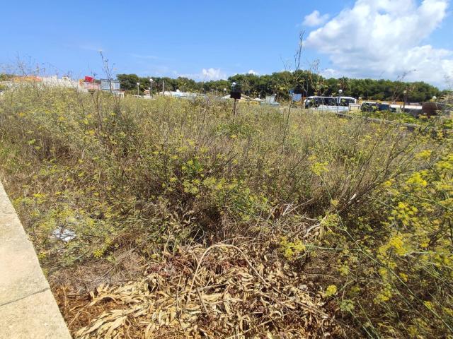 Terreno, Ciutadella de Menorca
