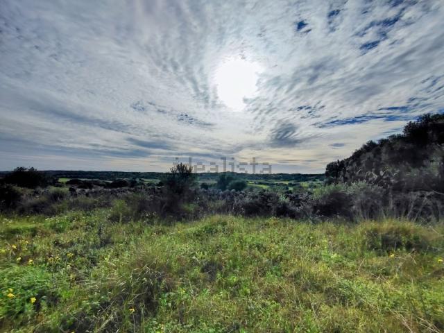 Terreno, Ciutadella de Menorca
