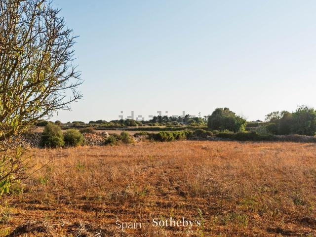 Terreno, Ciutadella de Menorca