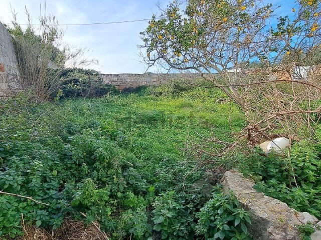 Terreno, Ciutadella de Menorca