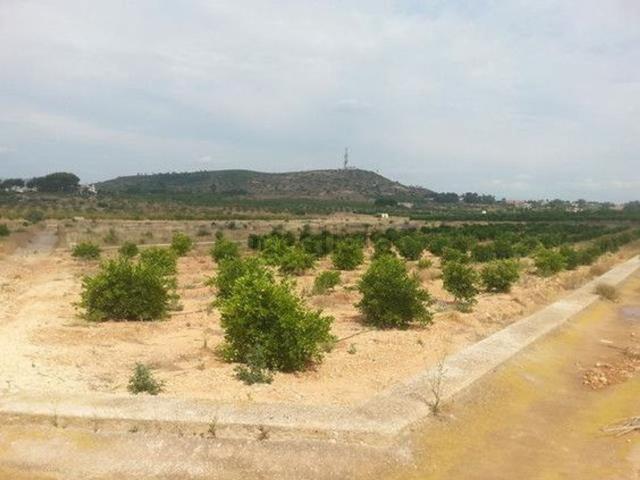 Terreno, Ciutat del Transport La Salera, Castellón de la Plana / Castello de la Plana