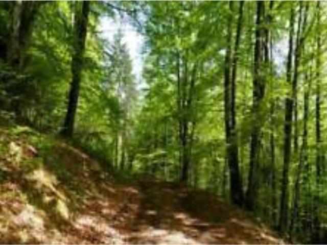 Terreno classe A4 a Perugia
