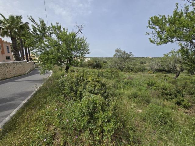 Terreno, Cerro de Águia Patroves, Albufeira e Olhos de Água