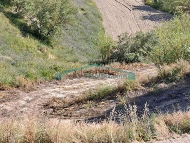 Terreno, Cocentaina