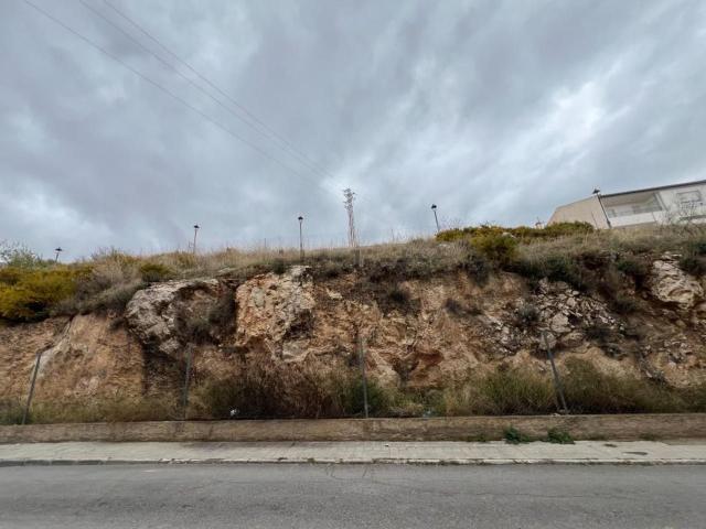 Terreno, Cogollos Vega