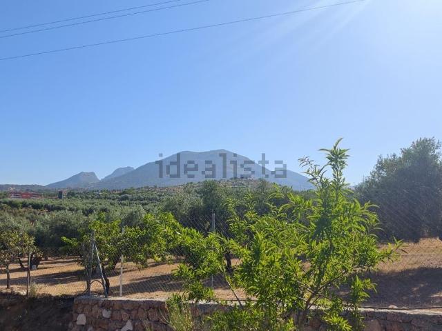 Terreno, Cogollos Vega