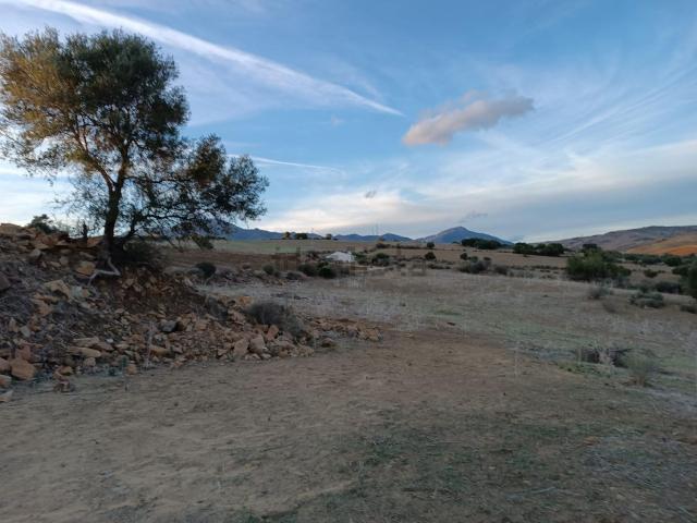 Terreno, Coin