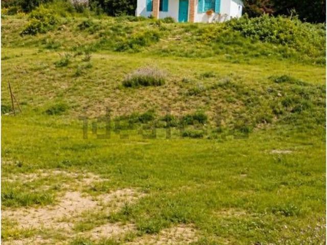 Terreno, Coin