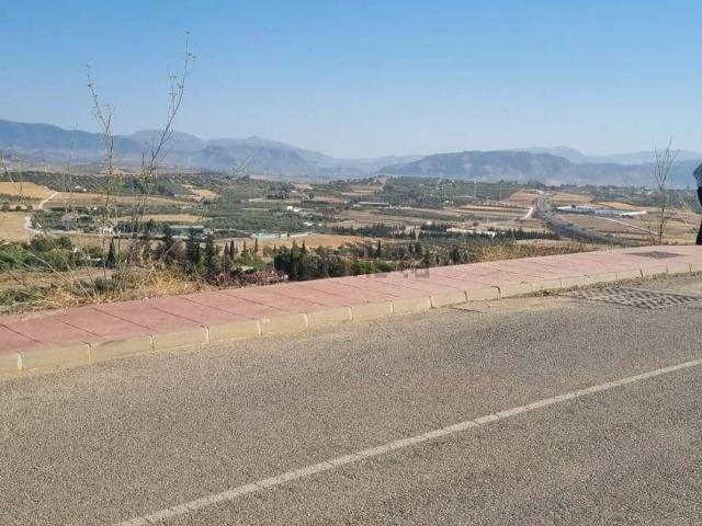 Terreno, Coin