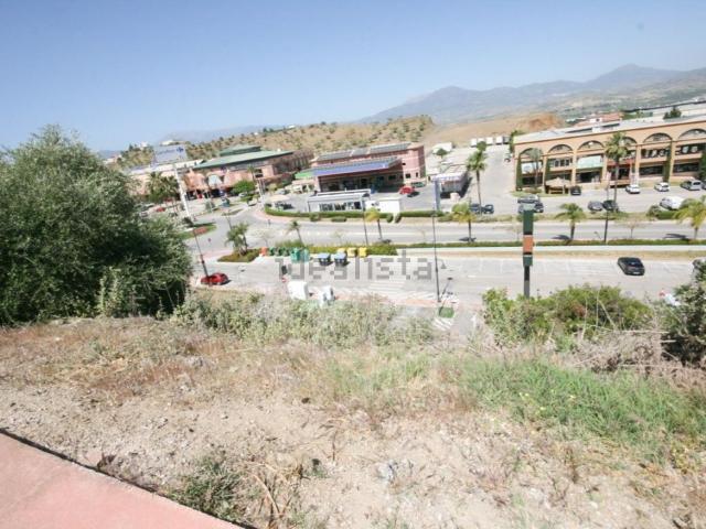 Terreno, Coin