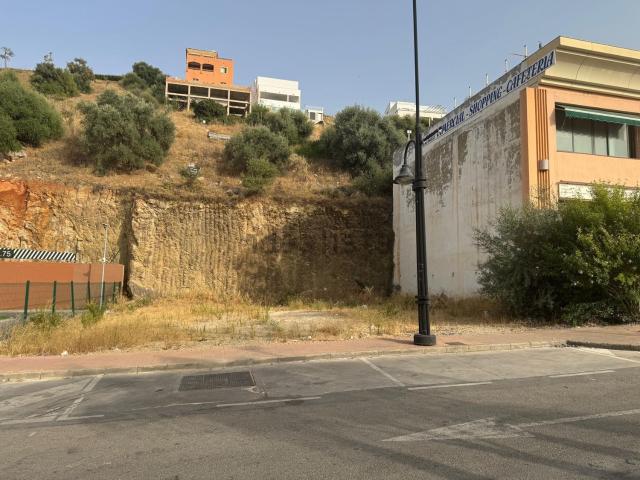 Terreno, Coin