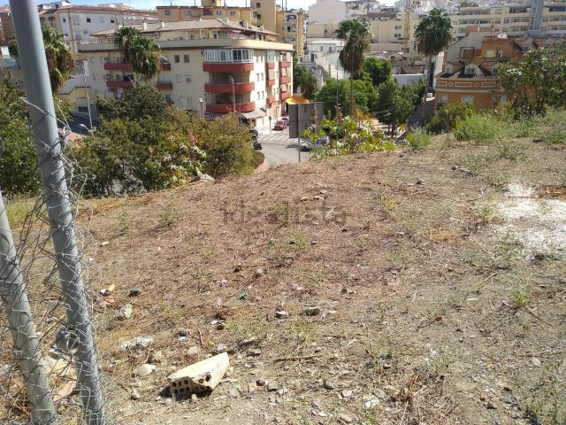 Terreno, Coin