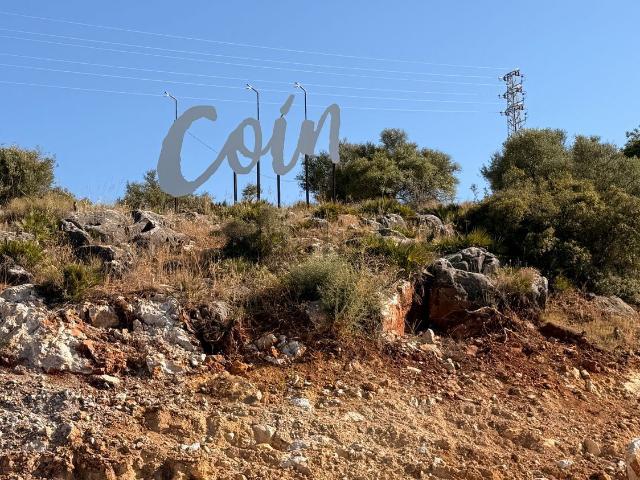 Terreno, Coin