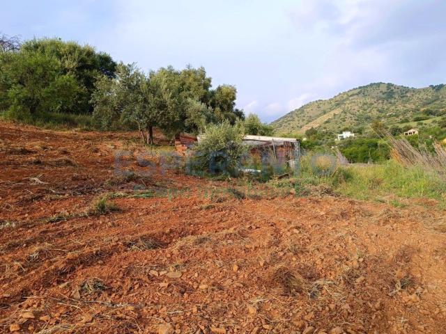 Terreno, Coin