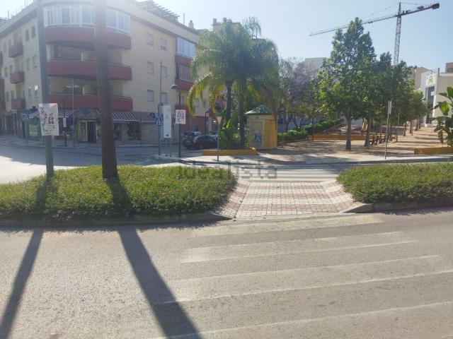 Terreno, Coin