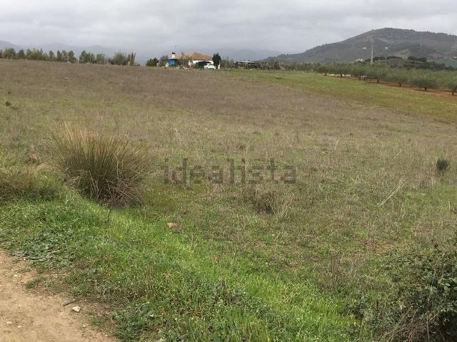 Terreno, Coin