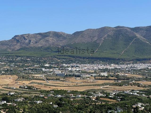 Terreno, Coin