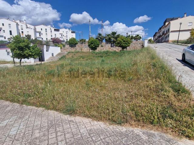 Terreno, Coin