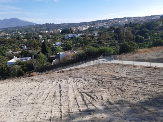 Terreno, Coin