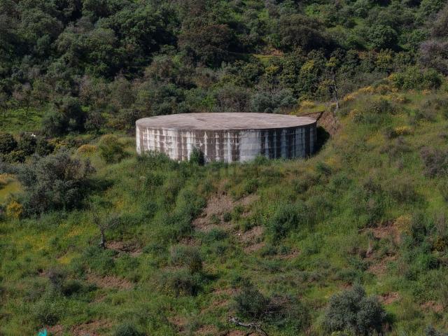 Terreno, Coin
