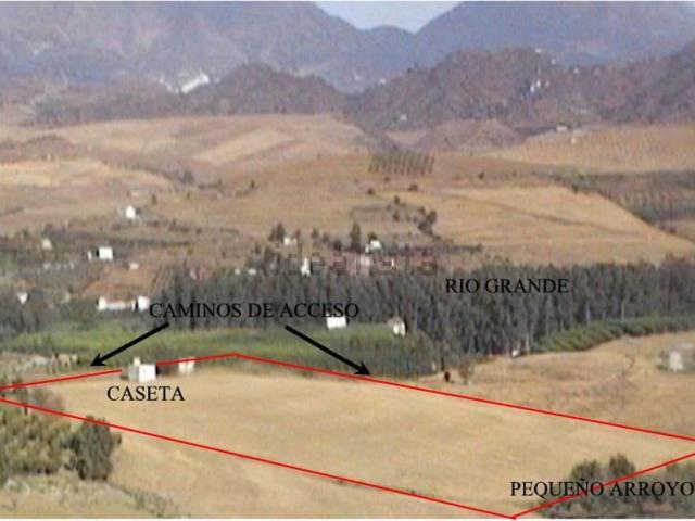 Terreno, Coin