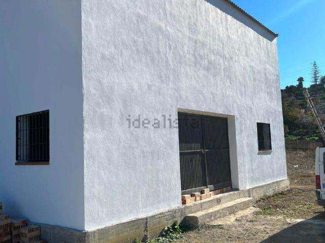 Terreno, Coin