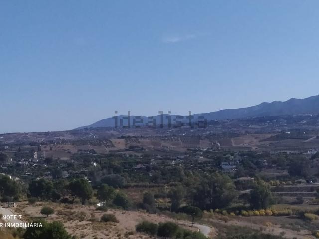 Terreno, Coin