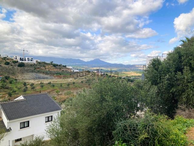 Terreno, Coin