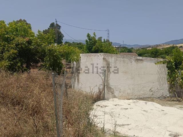 Terreno, Coin