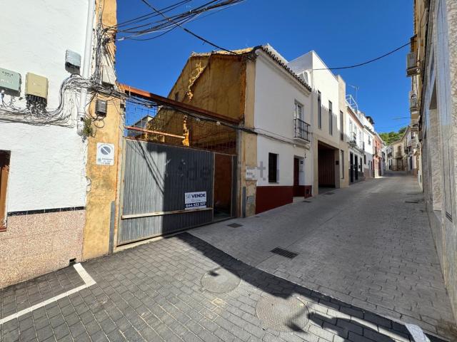 Terreno, Coin