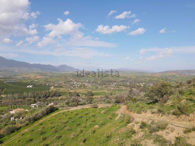 Terreno, Coin