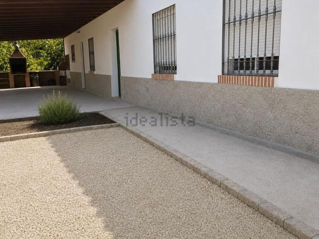 Terreno, Coin