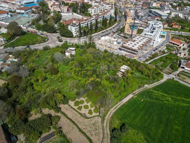 Terreno, Coin
