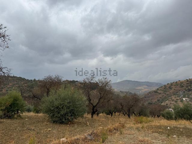 Terreno, Coin