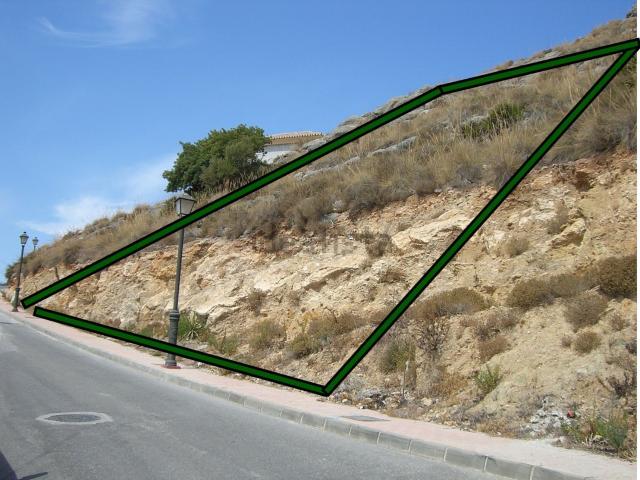 Terreno, Coin
