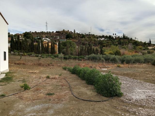 Terreno, Coin